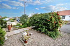 Front Garden- click for photo gallery